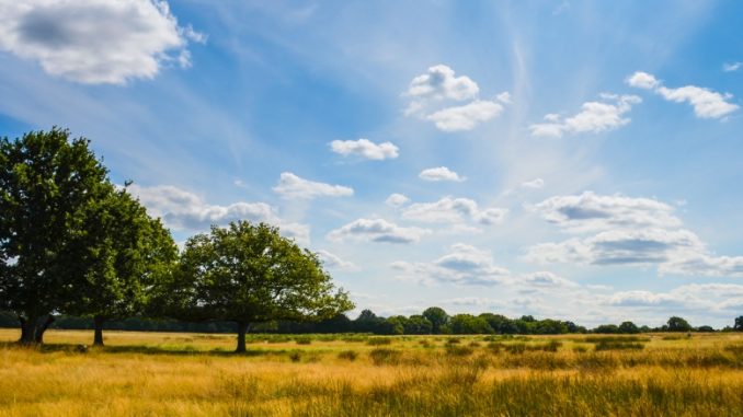 richmond-park-london